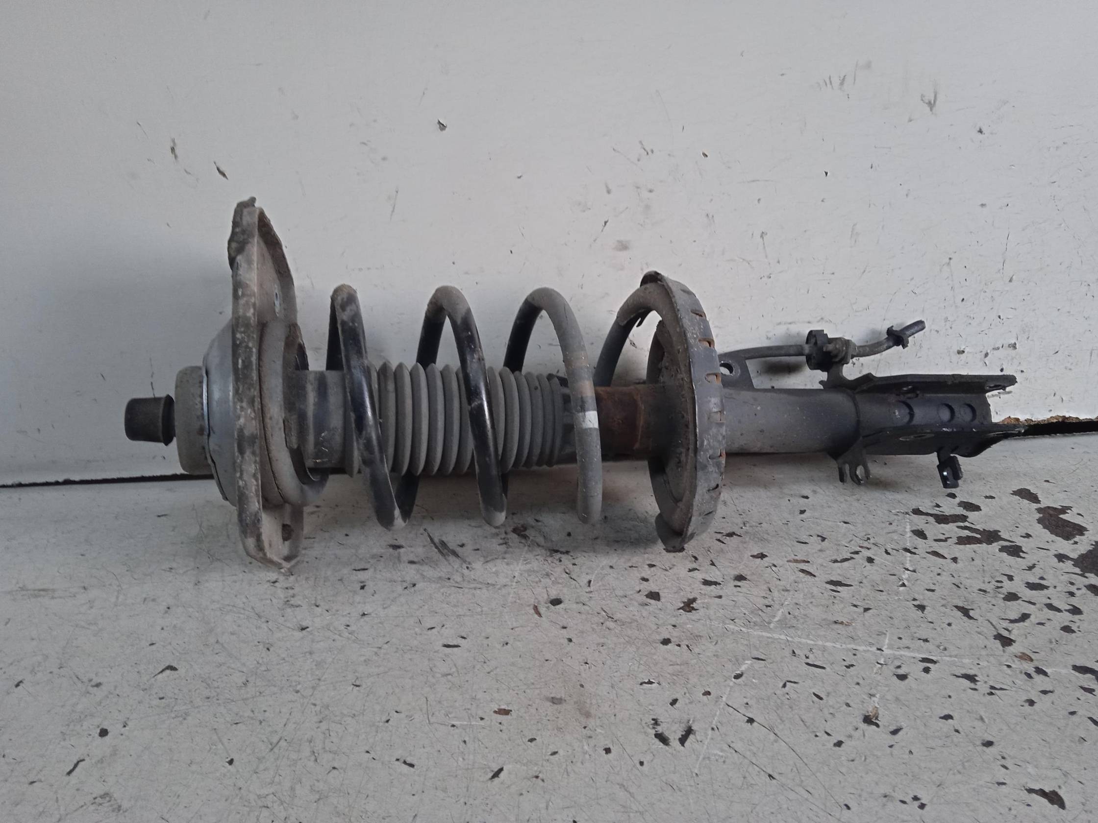 Ammortizzatore ant. sx.